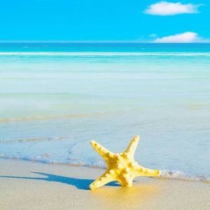 Meet your Posher, Jurielle